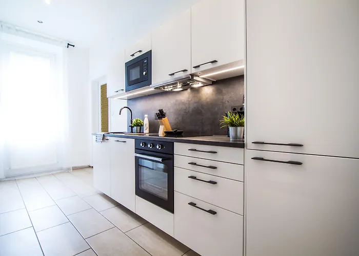 Apartmán Enenkelstrasse *